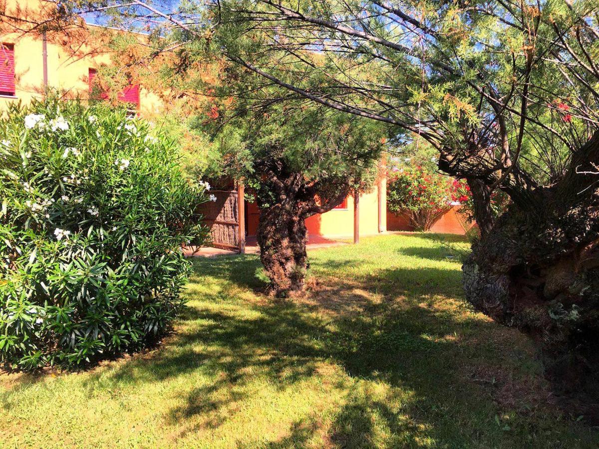 Regina Del Mare Holiday Apartments Tirrenia Exterior foto